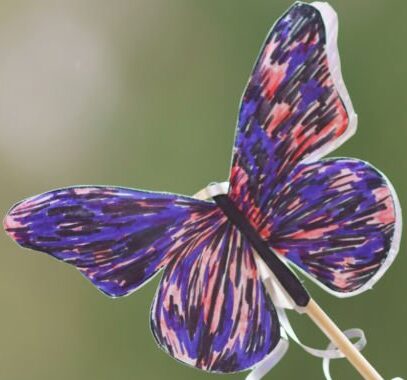 Butterflyflavia